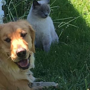 Meet your Posher, Peg